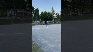 Punjab vs Kerala Cricket match in niagara falls,Canada