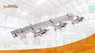 Automated&nbsp;packing&nbsp;line&nbsp;for&nbsp;multi-piece&nbsp;wafer - Soontrue Packing Machinery