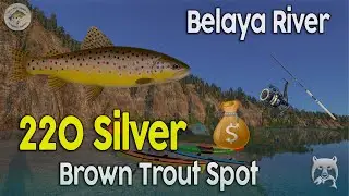 📌INSANE Brown Trout Spots in Russian Fishing 4! 🎣 227 Silver in 45 Min on Belaya River (Full Guide)