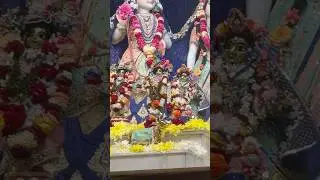 Darshan Of Radhamadava #mayapur #iskonian