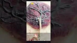 Bạn Đ&aacute;ng Gi&aacute; NTN