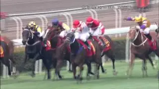 [2014 香港國際賽事]「天久」身經百戰