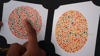 color vision test, color vision, color vision book, color blind test, ishihara test, ishihara
