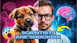 Why Do Dogs Tilt Their Heads When We Speak Uncovering the Adorable Mystery #DogHeadTilt