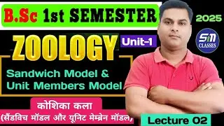 BSc 1st Semester Zoology Unit 1//Unit Membrane Model in Hindi//Sandwich Model & Unit Membrane Model