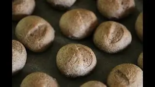 Whole Wheat Bread Rolls!!Requested Video🤍 🥰!!