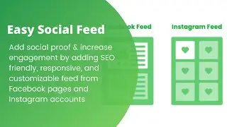 Easy Social Feed - Custom Facebook Feed and Instagram Feed Demo