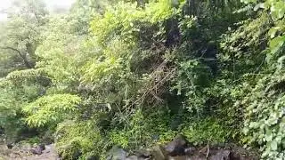 My Village Inglun junnar Pune natural seen in rainy season