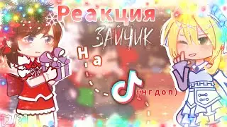 🎄|РЕАКЦИЯ ЗАЙЧИК НА ТИК ТОК|🎆[2ч] (жизнь за кадром) #tinybunnyигра #гачареакция