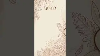 Introducing Gracz Compostable Tableware