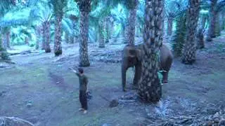 GANESHA PARK fun