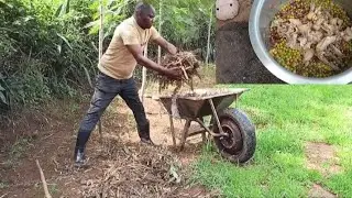 The Beauty Of Doing Less🌿| Chicken Jollof Rice| Traditional African Village Cooking 