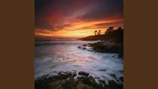 Whispers in the Sand