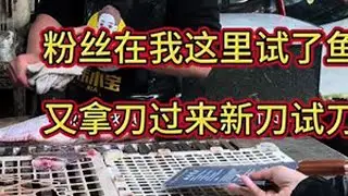 粉丝试完鱼，又要拿新刀试用！#杀鱼技术 #刀工 #厨房好物 #刀具测试