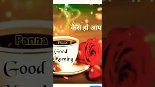 Kaise ho AAP #shorts #shortsvideo #youtubeshorts #feelilng #goodmorning #pannakianokhiduniya