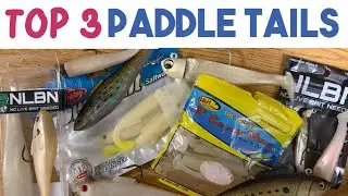Top 3 Paddle Tails for Stripers (my honest ranking)