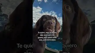 🤣🤣🤣 #citas #vida #memes
