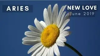 ARIES: New Love! June 2019