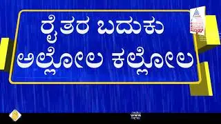Haveri; Heavy Rain Destroy Paddy Crop, Farmers Outrage Against Officials
