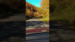 #autumn