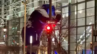🔴LIVE - Friday Night - After Dark Cruise - Denver, Colorado #MileHigh #Nuggets