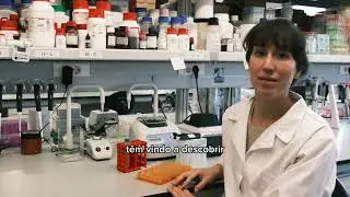 Unveiling the Genetic Risk Factors for Neurodevelopmental Disorders