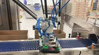 BCA-Raw Meat Processing to Packaging