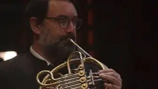 Tchaikovsky's 5th Symphony, Horn Solo