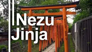 Nezu Jinja - 根津神社  [Cinematic Tokyo vol.7]