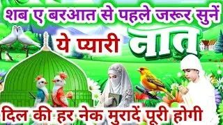 शब ए बरआत से पहले ज़रूर सुनें ये प्यारी नात Most Beautiful Heart Touching Voice Basir Ahmad 🕋🤲