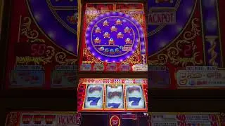 $20 bet on pinball.  Would you be satisfied? #casino #vegasjackpot #lasvegas #casinogame