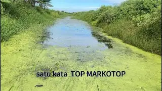 UMPAN BERISIK BIKIN ULAH LAGI BESAR KECIL DISIKATNYA..!!? CASTING GABUS 