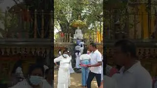 බුදු සරණයී 🙏🌷 temple sri lanka🇱🇰 #temple #srilanka #everyone #foryou #follow #highlight #viral