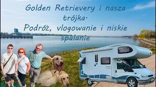 Golden Retrievery i nasza tr&oacute;jka.Podr&oacute;ż, vlogowanie i niskie  spalanie