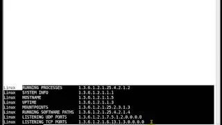Router Hacking Part 5 SNMP Attacks using SNMPEnum