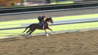 Goldencents