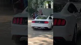 Ford mustang in SRM college chennai #v8 #mustang #mustanggt