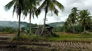 MISSED VILLAGE ATMOSPHERE | MAKE MISTAKES FOR MIGRANTS | HOW BEAUTIFUL SANIANGBAKA VILLAGE