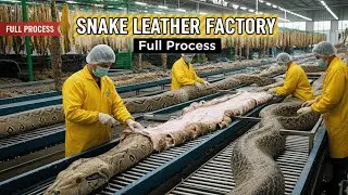 Inside the Snake-Leather Factory: From Snake Skin to Luxury Jacket (Full Process)