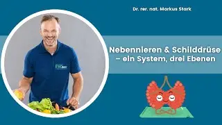 🧩 Nebennieren & Schilddr&uuml;se &ndash; ein System, drei Ebenen - Dr. rer. nat. Markus STARK