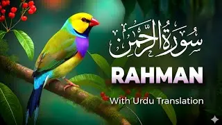 Surah Ar-Rahman Full | Heart Touching Recitation | Ep - 14