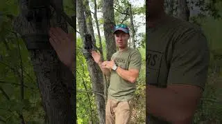 Having troubles with Bears DESTROYING your trail cams? Try this tip!#stealthcam #bearhunting