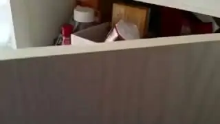 Large Squeaky Cupboard Door 2