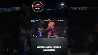 Which UFC Weight Classes Finish the Most Fights?