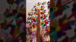 Balijatra 2023 || #cuttack #edits #balijatra #balijatra2023 #jaijagannath #trending #shorts #viral