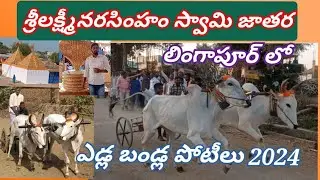 bulls Cart racers// lingapoor village//ఎడ్ల బండ్ల పోటీలు// లింగాపూర్  గ్రామంలో