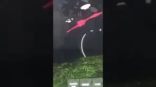 Alfred crashed