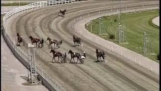 Harness Racing Accident t - Horse Kick Driver out of the bike