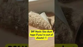 STOP ruining your washing machine! 🛑 (Pet Hack #1)