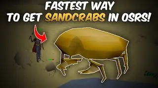 OSRS - Как быстро добраться до песчаного краба!!